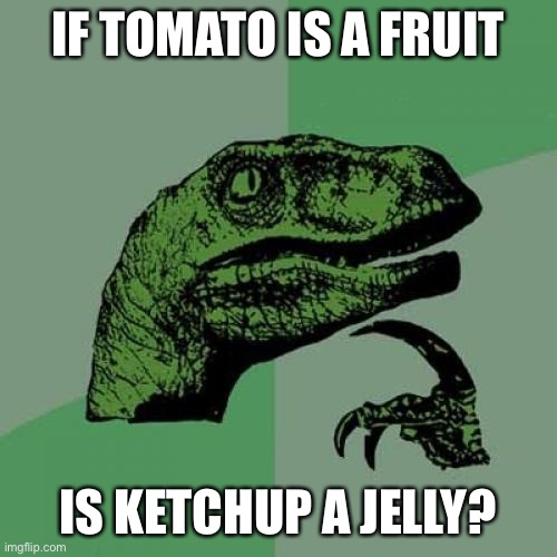 Hmmmmm | IF TOMATO IS A FRUIT; IS KETCHUP A JELLY? | image tagged in memes,philosoraptor | made w/ Imgflip meme maker