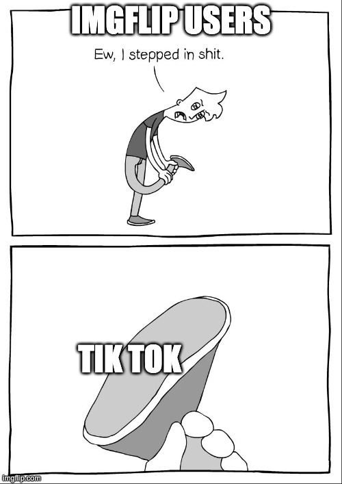 Yes. So true | IMGFLIP USERS; TIK TOK | image tagged in eww i stepped in meme | made w/ Imgflip meme maker