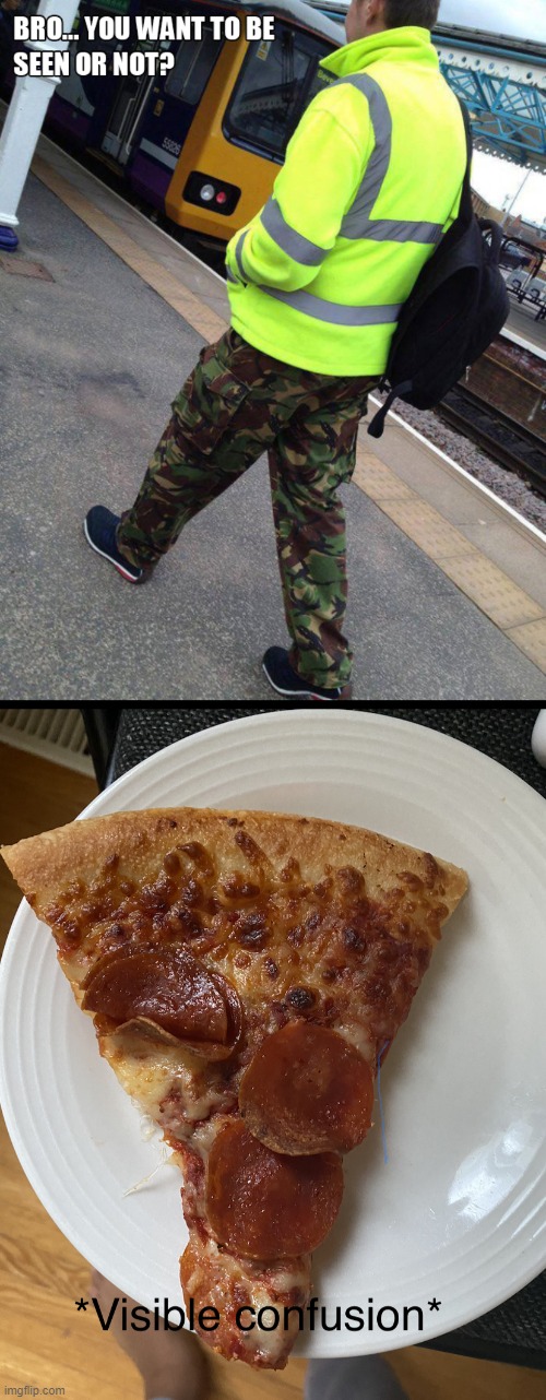 Visible Confusion Pizza | image tagged in visible confusion pizza,camouflage,vest,memes,confused screaming | made w/ Imgflip meme maker