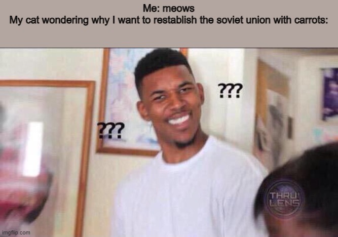 O U R   C A R R O T | Me: meows
My cat wondering why I want to restablish the soviet union with carrots: | image tagged in bruh you actually searched this up xd,what,huh,how,black guy question mark,confused | made w/ Imgflip meme maker
