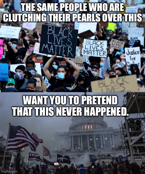 THE SAME PEOPLE WHO ARE CLUTCHING THEIR PEARLS OVER THIS; WANT YOU TO PRETEND THAT THIS NEVER HAPPENED. | image tagged in capitol hill,black lives matter,donald trump | made w/ Imgflip meme maker