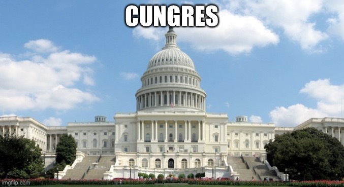 Cungueess | CUNGRES | image tagged in ugh congress | made w/ Imgflip meme maker