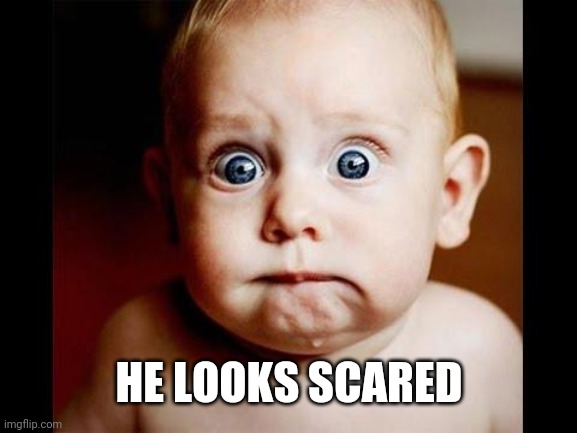 Frightened baby | HE LOOKS SCARED | image tagged in frightened baby | made w/ Imgflip meme maker