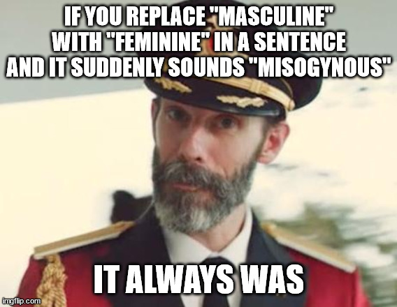 "Toxic Femininity" | IF YOU REPLACE "MASCULINE" WITH "FEMININE" IN A SENTENCE AND IT SUDDENLY SOUNDS "MISOGYNOUS"; IT ALWAYS WAS | image tagged in captain obvious,misogyny,racism | made w/ Imgflip meme maker