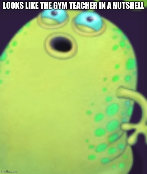 LMAO | LOOKS LIKE THE GYM TEACHER IN A NUTSHELL | image tagged in my singing monsters | made w/ Imgflip meme maker