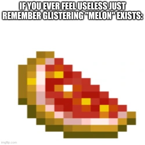 e | IF YOU EVER FEEL USELESS JUST REMEMBER GLISTERING "MELON" EXISTS: | image tagged in minecraft | made w/ Imgflip meme maker