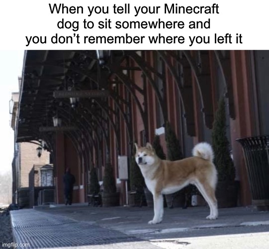 Hachi: A Dog’s Tale | When you tell your Minecraft dog to sit somewhere and you don’t remember where you left it | image tagged in funny,memes,hachi,minecraft,gaming | made w/ Imgflip meme maker