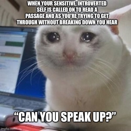 Crying cat | WHEN YOUR SENSITIVE, INTROVERTED SELF IS CALLED ON TO READ A PASSAGE AND AS YOU’RE TRYING TO GET THROUGH WITHOUT BREAKING DOWN YOU HEAR; “CAN YOU SPEAK UP?” | image tagged in crying cat,anxiety,student problems | made w/ Imgflip meme maker