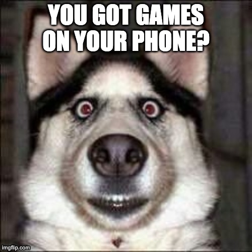 funni doggo | YOU GOT GAMES ON YOUR PHONE? | image tagged in funni doggo | made w/ Imgflip meme maker