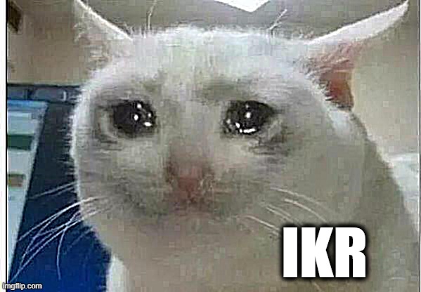 crying cat | IKR | image tagged in crying cat | made w/ Imgflip meme maker