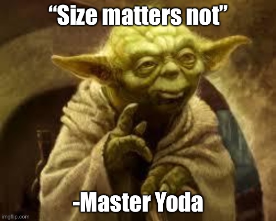 A true quote from Master Yoda :) | “Size matters not”; -Master Yoda | image tagged in master yoda | made w/ Imgflip meme maker