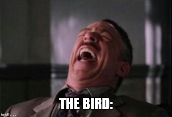 J Jonah Jameson laughing | THE BIRD: | image tagged in j jonah jameson laughing | made w/ Imgflip meme maker