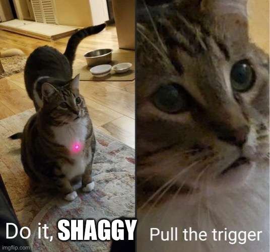 do it debra, pull the trigger | SHAGGY | image tagged in do it debra pull the trigger | made w/ Imgflip meme maker