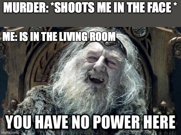 you have no power here |  MURDER: *SHOOTS ME IN THE FACE *; ME: IS IN THE LIVING ROOM | image tagged in you have no power here | made w/ Imgflip meme maker