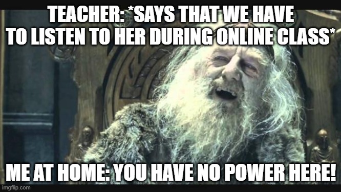it do be like that tho | TEACHER: *SAYS THAT WE HAVE TO LISTEN TO HER DURING ONLINE CLASS*; ME AT HOME: YOU HAVE NO POWER HERE! | image tagged in you have no power here | made w/ Imgflip meme maker