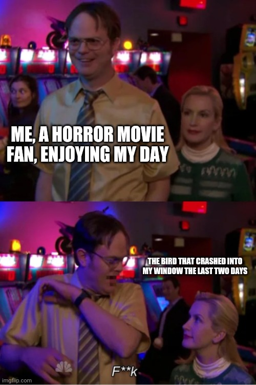 The Birds is real? | ME, A HORROR MOVIE FAN, ENJOYING MY DAY; THE BIRD THAT CRASHED INTO MY WINDOW THE LAST TWO DAYS | image tagged in angela scares dwight | made w/ Imgflip meme maker