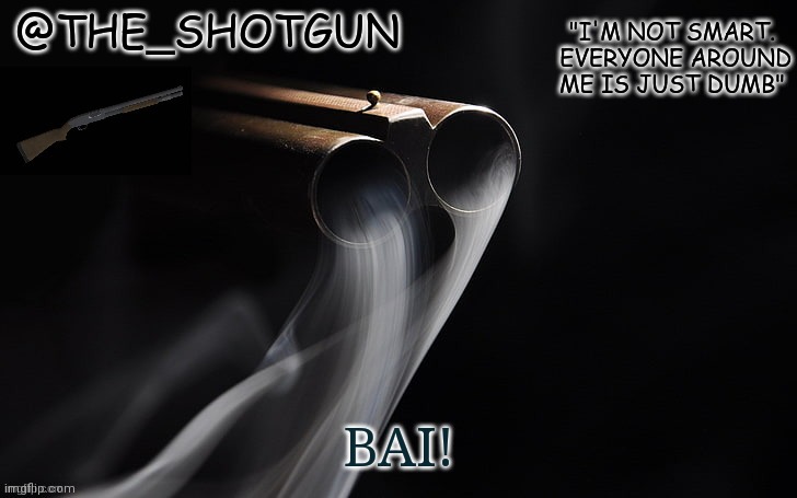 Yet another temp for shotgun | BAI! | image tagged in yet another temp for shotgun | made w/ Imgflip meme maker