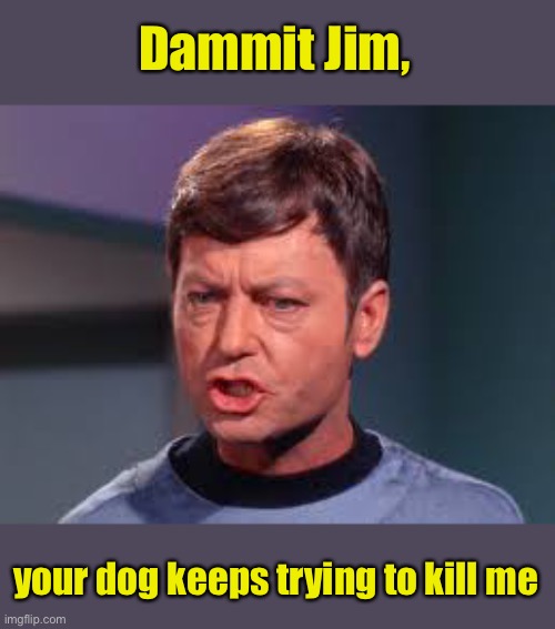 Doctor McCoy | Dammit Jim, your dog keeps trying to kill me | image tagged in doctor mccoy | made w/ Imgflip meme maker