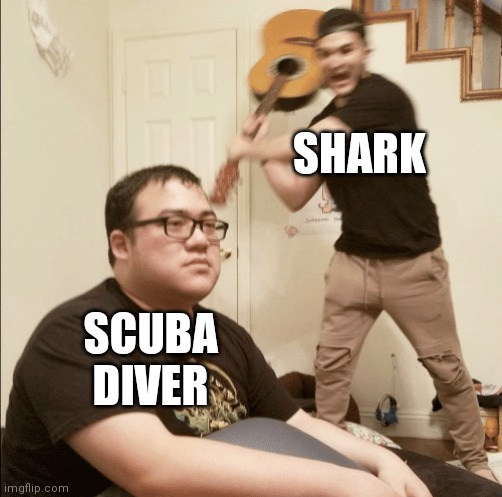 Unexpected Aggression | SHARK SCUBA DIVER | image tagged in unexpected aggression | made w/ Imgflip meme maker