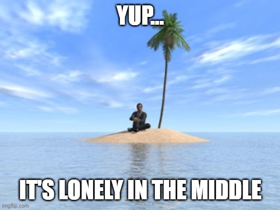 Desert island | YUP... IT'S LONELY IN THE MIDDLE | image tagged in desert island | made w/ Imgflip meme maker