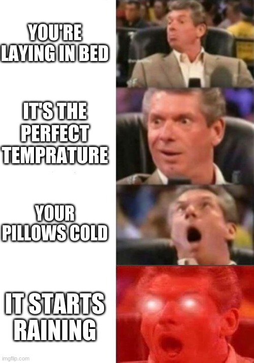 Mr. McMahon reaction | YOU'RE LAYING IN BED; IT'S THE PERFECT TEMPRATURE; YOUR PILLOWS COLD; IT STARTS RAINING | image tagged in mr mcmahon reaction | made w/ Imgflip meme maker