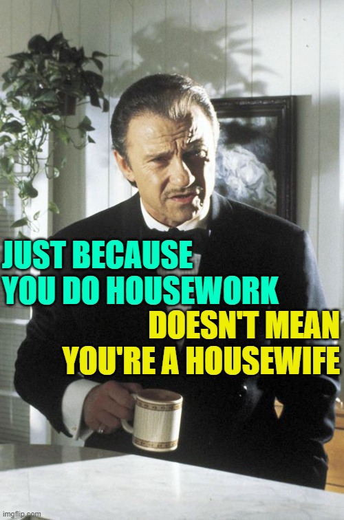 Pulp Housewife | JUST BECAUSE YOU DO HOUSEWORK; DOESN'T MEAN YOU'RE A HOUSEWIFE | image tagged in mr wolf,housewife,housework,life lessons,marriage,so true memes | made w/ Imgflip meme maker