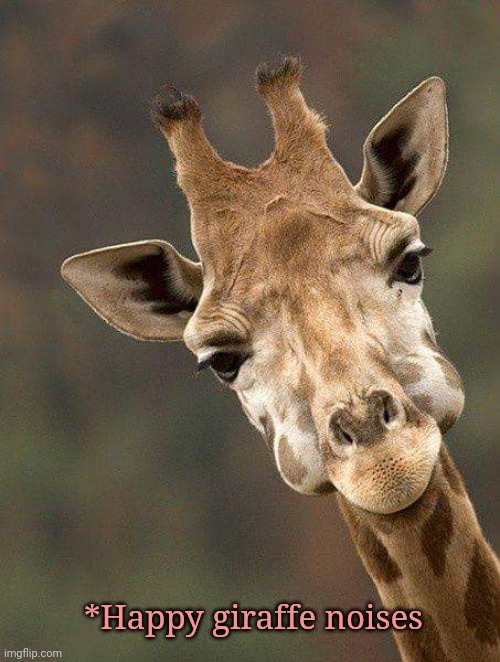 Giraffe  | *Happy giraffe noises | image tagged in giraffe | made w/ Imgflip meme maker
