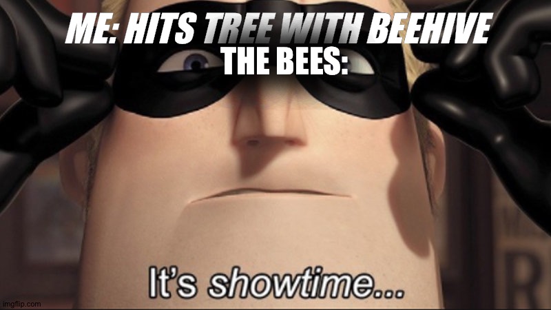 Bees | THE BEES:; ME: HITS TREE WITH BEEHIVE | image tagged in it's showtime | made w/ Imgflip meme maker