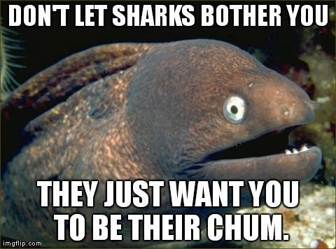 Bad Joke Eel Meme | DON'T LET SHARKS BOTHER YOU THEY JUST WANT YOU TO BE THEIR CHUM. | image tagged in memes,bad joke eel | made w/ Imgflip meme maker