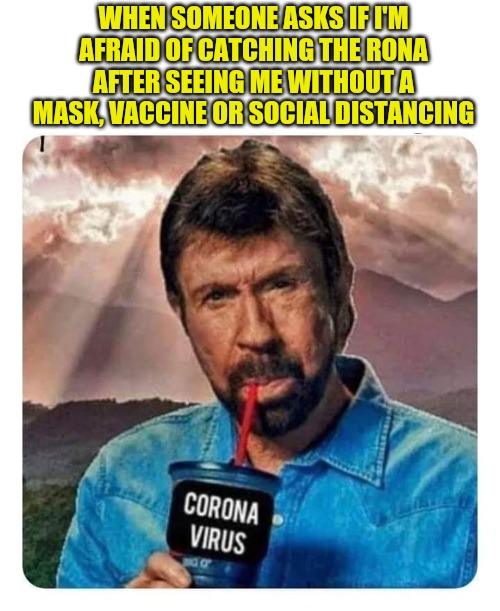 WHEN SOMEONE ASKS IF I'M AFRAID OF CATCHING THE RONA AFTER SEEING ME WITHOUT A MASK, VACCINE OR SOCIAL DISTANCING | image tagged in covid-19,covidiots,lies,chuck norris | made w/ Imgflip meme maker