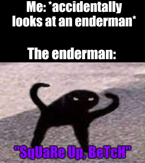 Me: *accidentally looks at an enderman*; The enderman:; "SqUaRe Up, BeTcH" | image tagged in minecraft,enderman | made w/ Imgflip meme maker