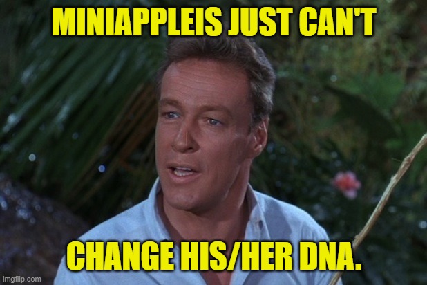 Professor Gilligans island | MINIAPPLEIS JUST CAN'T CHANGE HIS/HER DNA. | image tagged in professor gilligans island | made w/ Imgflip meme maker