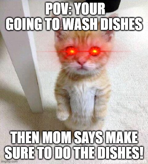 My Friend Made This | POV: YOUR GOING TO WASH DISHES; THEN MOM SAYS MAKE SURE TO DO THE DISHES! | image tagged in memes,cute cat | made w/ Imgflip meme maker