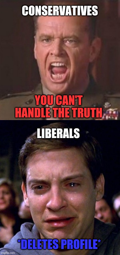 CONSERVATIVES; YOU CAN'T HANDLE THE TRUTH; LIBERALS; *DELETES PROFILE* | image tagged in you can't handle the truth,crying peter parker | made w/ Imgflip meme maker