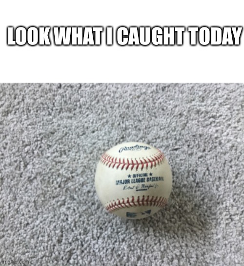 LOOK WHAT I CAUGHT TODAY | image tagged in blank white template | made w/ Imgflip meme maker