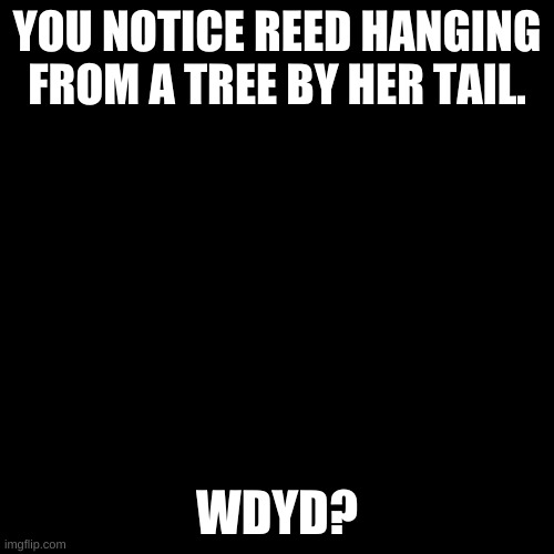 Blank black  template | YOU NOTICE REED HANGING FROM A TREE BY HER TAIL. WDYD? | image tagged in blank black template | made w/ Imgflip meme maker
