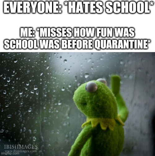 i miss the days where me and the bois are having fun and working together | EVERYONE: *HATES SCHOOL*; ME: *MISSES HOW FUN WAS SCHOOL WAS BEFORE QUARANTINE* | image tagged in kermit window | made w/ Imgflip meme maker