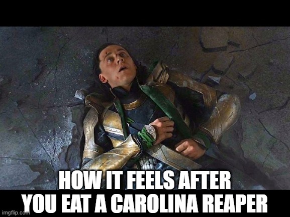 It Hurts | HOW IT FEELS AFTER YOU EAT A CAROLINA REAPER | image tagged in puny god | made w/ Imgflip meme maker