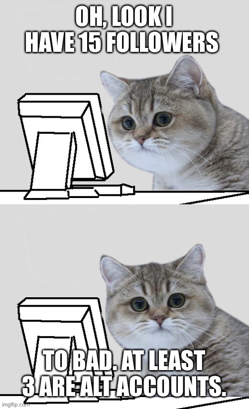 Wut?Hai,Nope! | OH, LOOK I HAVE 15 FOLLOWERS; TO BAD. AT LEAST 3 ARE ALT ACCOUNTS. | image tagged in wut hai nope | made w/ Imgflip meme maker