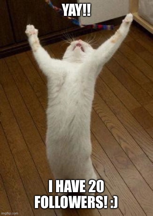 Hooray Cat | YAY!! I HAVE 20 FOLLOWERS! :) | image tagged in hooray cat | made w/ Imgflip meme maker