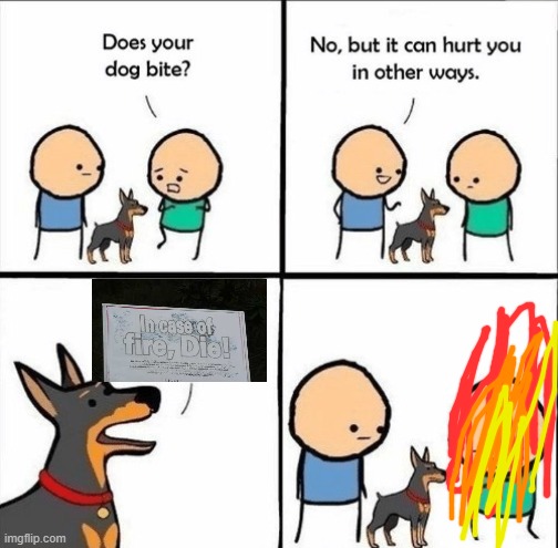 does your dog bite | image tagged in does your dog bite,fire,dogs,dog,heat,die | made w/ Imgflip meme maker
