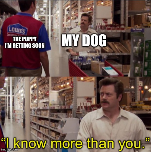 I Know More Than You | MY DOG; THE PUPPY I’M GETTING SOON; “I know more than you.” | image tagged in i know more than you | made w/ Imgflip meme maker