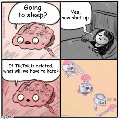i hate tiktok as much as you do | Yes, now shut up. Going to sleep? If TikTok is deleted, what will we have to hate? | image tagged in brain before sleep | made w/ Imgflip meme maker
