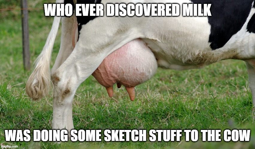 sketchy stuff with a cow | WHO EVER DISCOVERED MILK; WAS DOING SOME SKETCH STUFF TO THE COW | image tagged in milk,sketchy | made w/ Imgflip meme maker