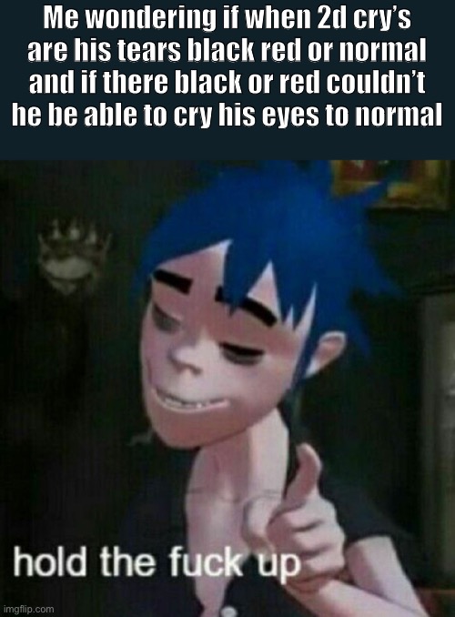 2Ds eyes are a mystery | Me wondering if when 2d cry’s are his tears black red or normal and if there black or red couldn’t he be able to cry his eyes to normal | image tagged in hold tf up,gorillaz,2d,cry | made w/ Imgflip meme maker