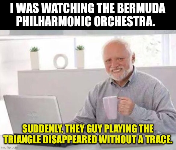 Vanished without a trace! | I WAS WATCHING THE BERMUDA PHILHARMONIC ORCHESTRA. SUDDENLY, THEY GUY PLAYING THE TRIANGLE DISAPPEARED WITHOUT A TRACE. | image tagged in harold | made w/ Imgflip meme maker
