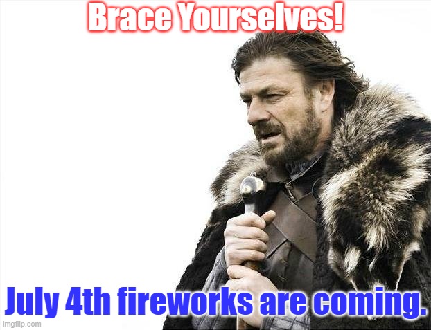 Why do some people feel the need to make unnecessary noise? | Brace Yourselves! July 4th fireworks are coming. | image tagged in memes,brace yourselves x is coming,independence day,fireworks,pain | made w/ Imgflip meme maker