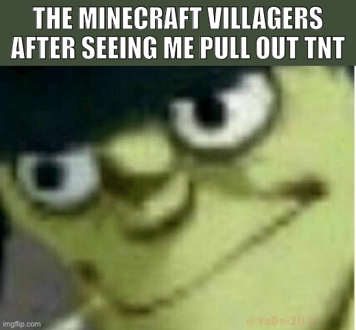 Well heck | THE MINECRAFT VILLAGERS AFTER SEEING ME PULL OUT TNT | image tagged in minecraft,tnt,gorillaz | made w/ Imgflip meme maker