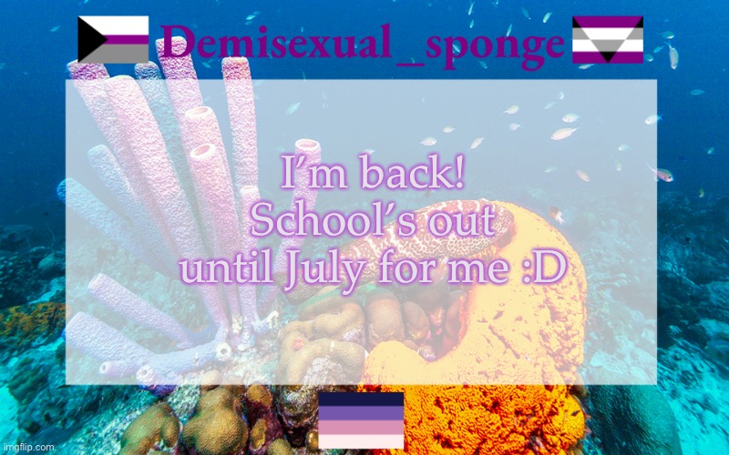 H e y | I’m back! School’s out until July for me :D | image tagged in demisexual_sponge's template 3,demisexual_sponge | made w/ Imgflip meme maker