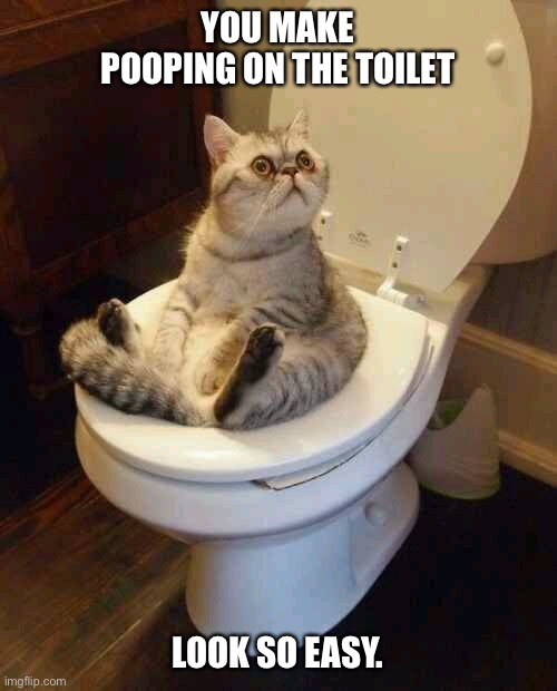 Toilet cat | YOU MAKE POOPING ON THE TOILET; LOOK SO EASY. | image tagged in toilet cat | made w/ Imgflip meme maker